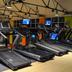 Palestra