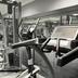 Palestra