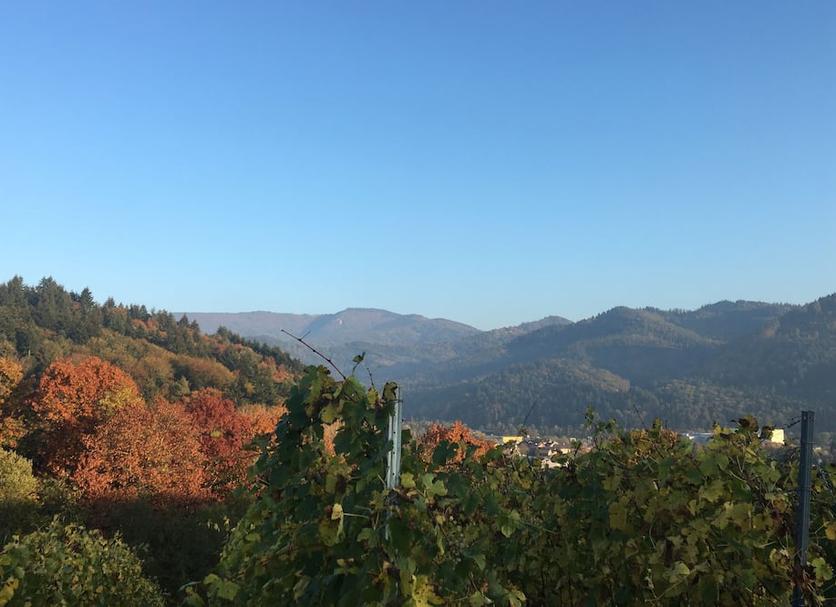 Vista esterna Foto