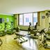 Palestra