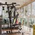 Palestra