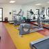 Palestra