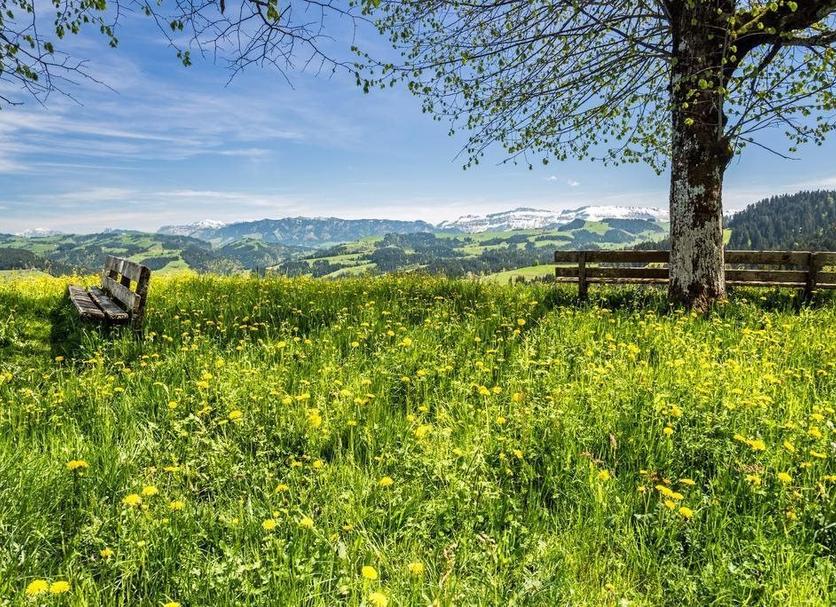 Vista esterna Foto