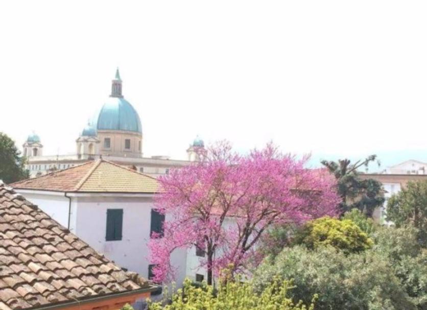 Vista esterna Foto