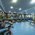 Palestra