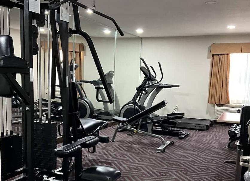 Palestra Foto