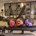 Palestra