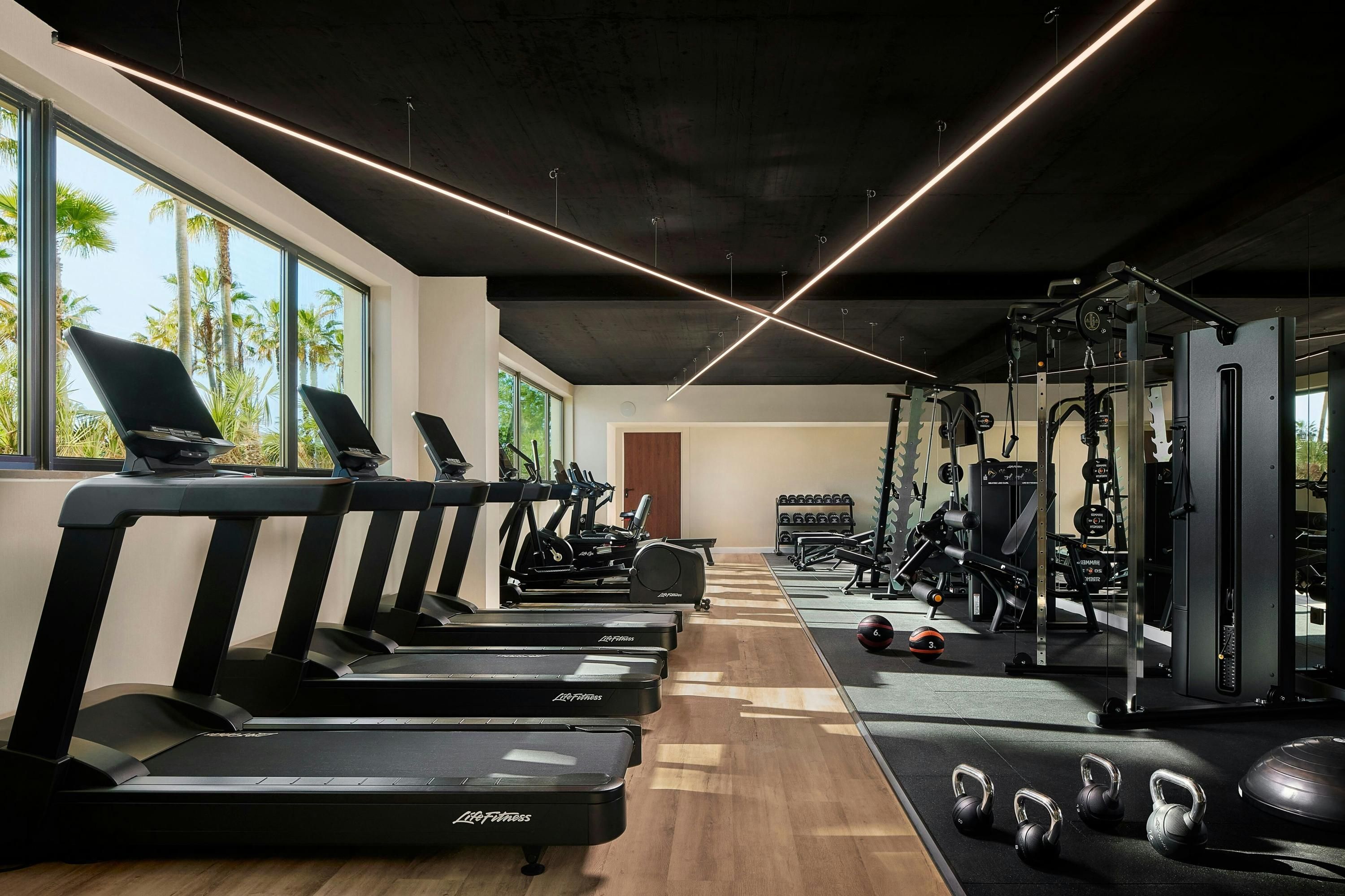 Palestra