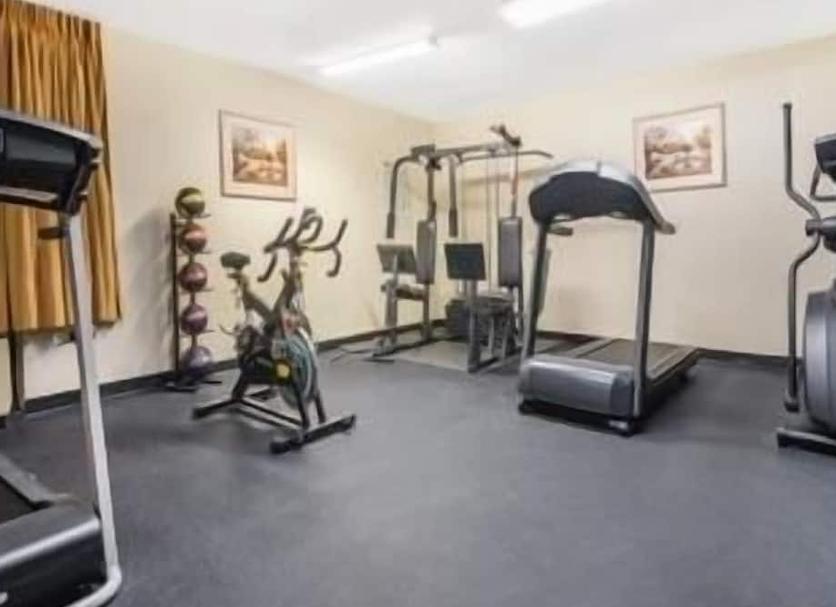 Palestra Foto