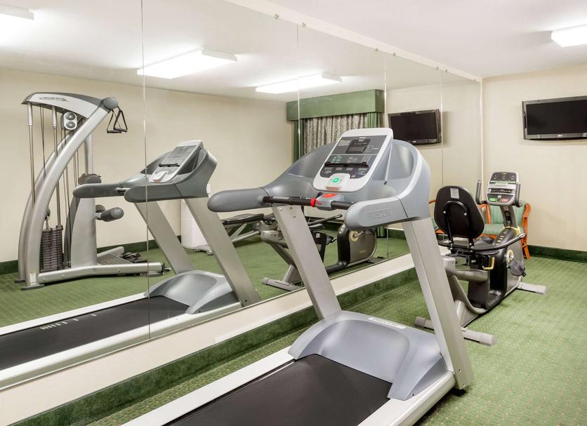 Palestra Foto