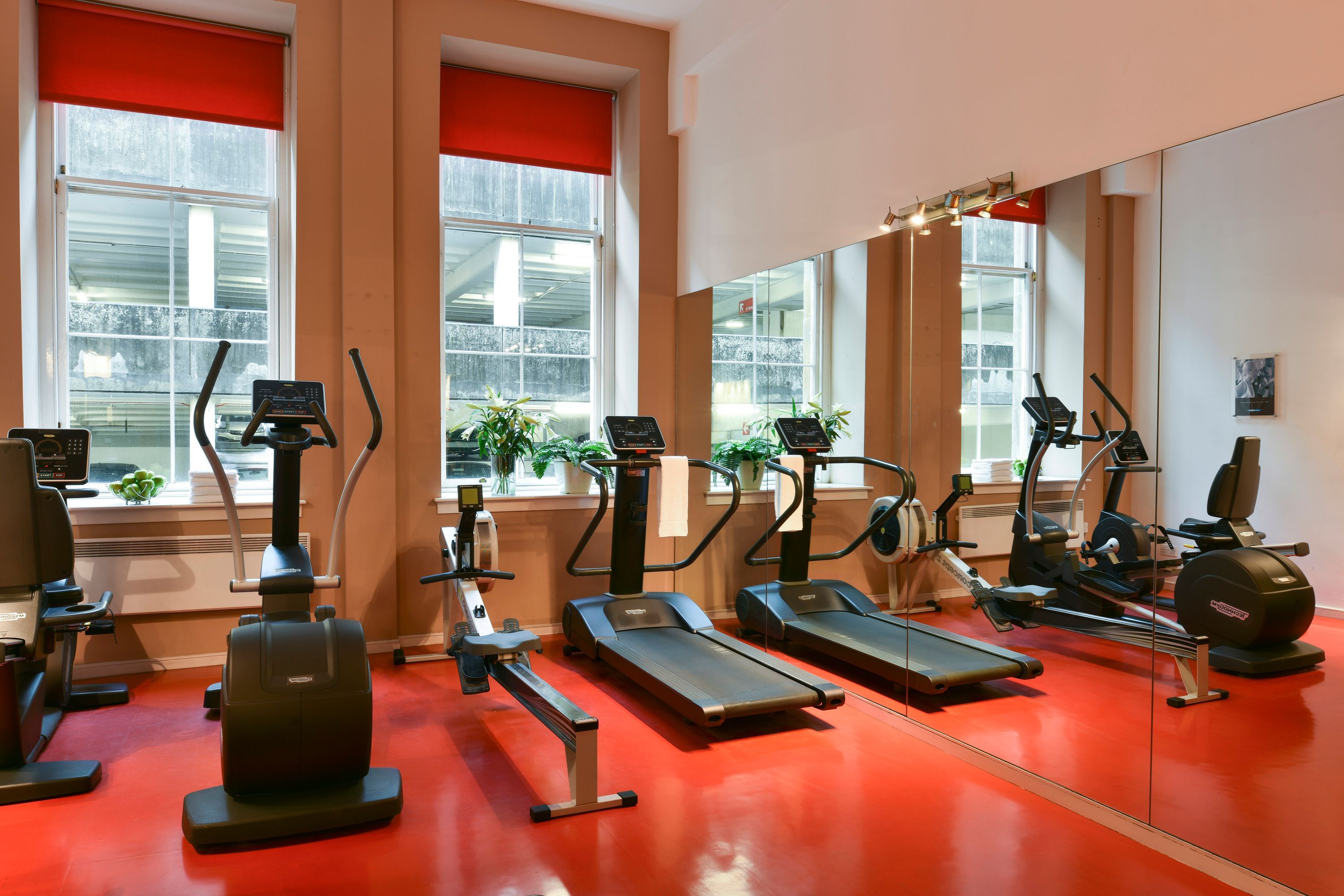 Palestra