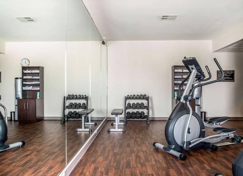 Palestra Foto