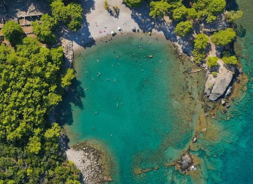 Servizi Foto