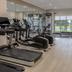 Palestra