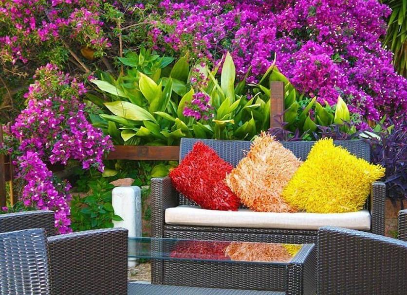 Patio Foto