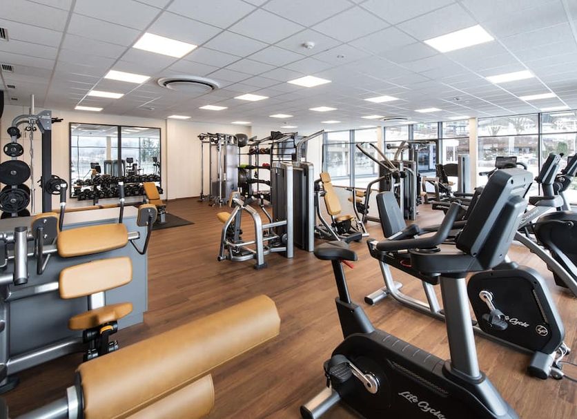 Palestra Foto