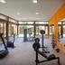 Palestra