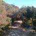 Vista esterna