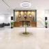 Ingresso