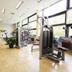 Palestra