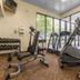 Palestra