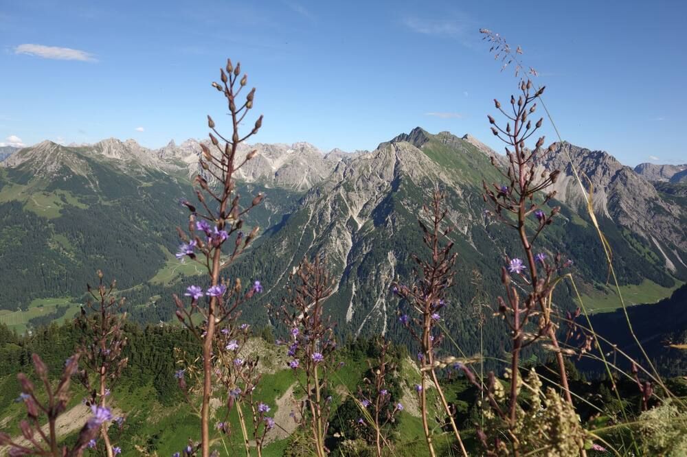 Vista esterna