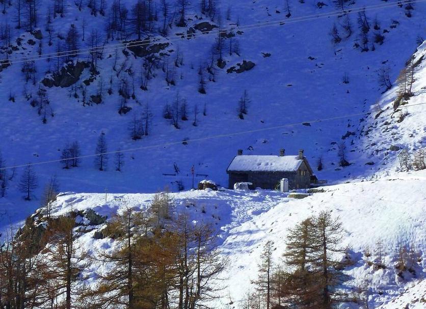 Altro Foto
