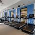 Palestra
