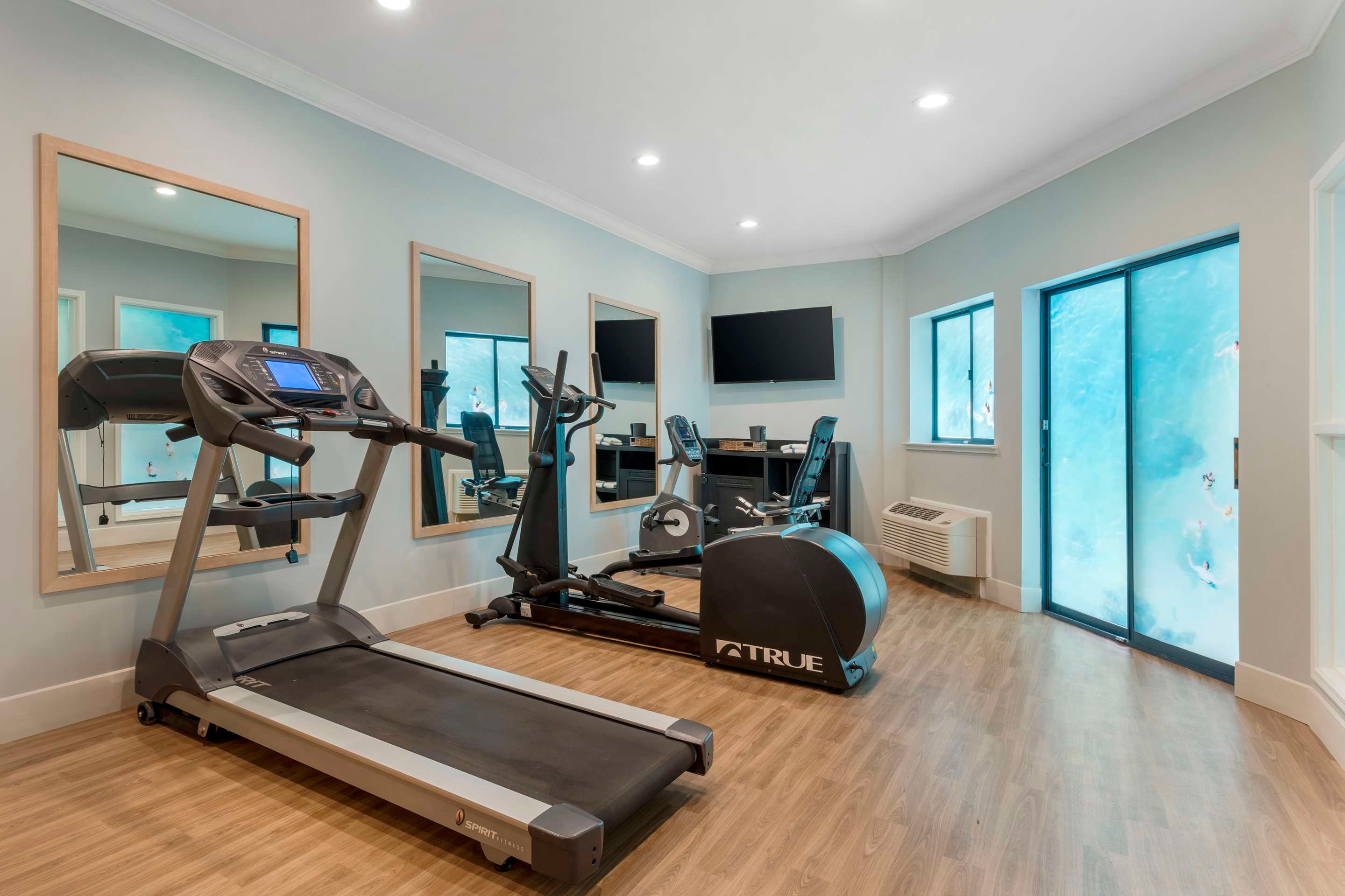 Palestra