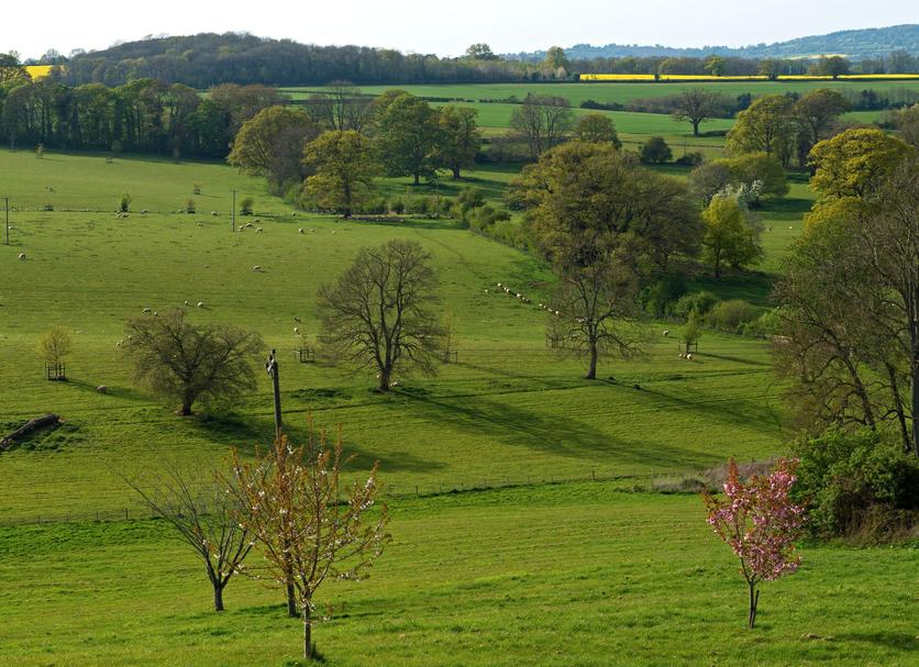 Vista esterna Foto