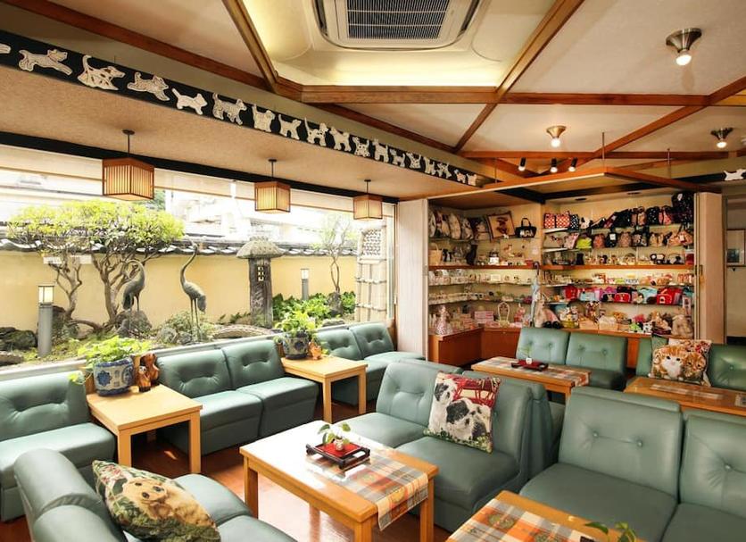 Area lounge Foto