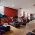 Palestra