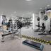 Palestra