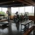 Palestra