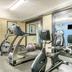 Palestra