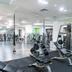 Palestra