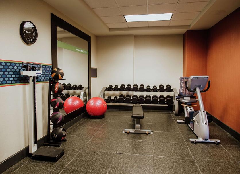 Palestra Foto