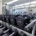 Palestra
