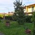 Vista esterna
