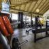 Palestra