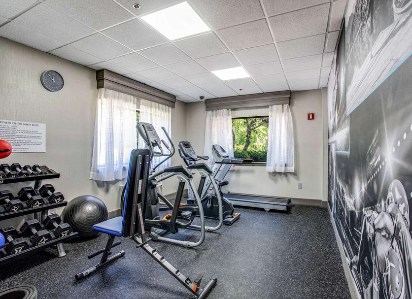 Palestra Foto