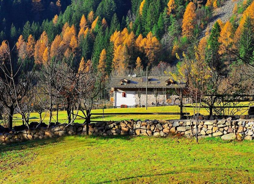 Altro Foto