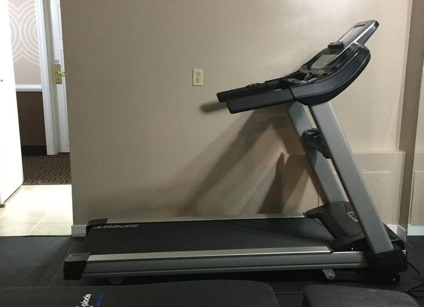 Palestra Foto