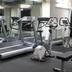 Palestra