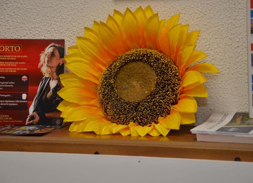 Altro Foto
