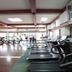 Palestra