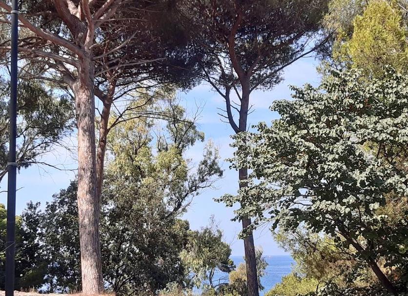 Vista esterna Foto