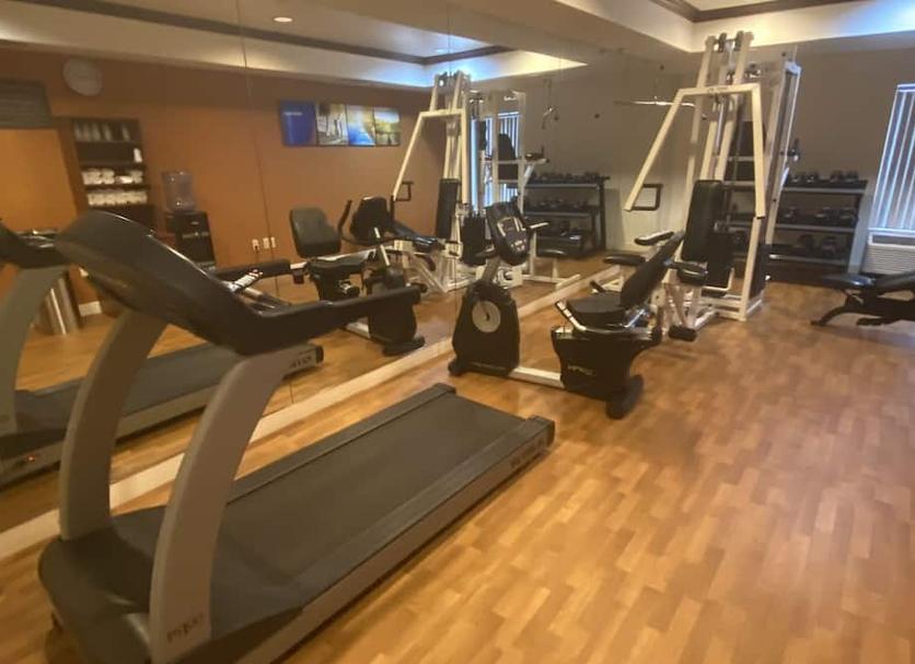 Palestra Foto