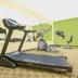 Palestra