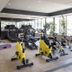 Palestra